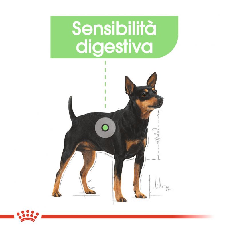 Mini Digestive Care - Crocchette per Cani