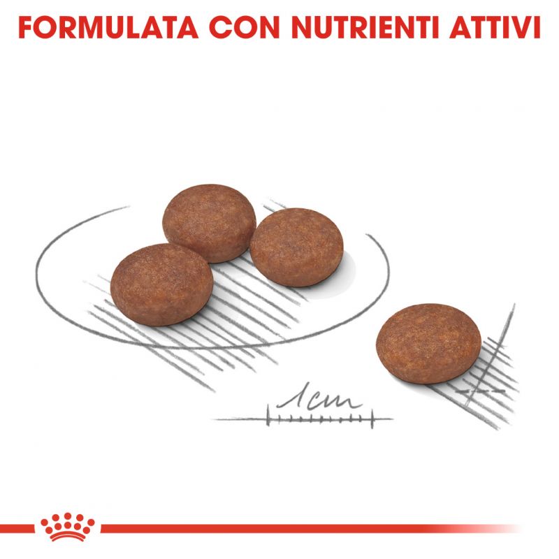 Mini Digestive Care - Crocchette per Cani