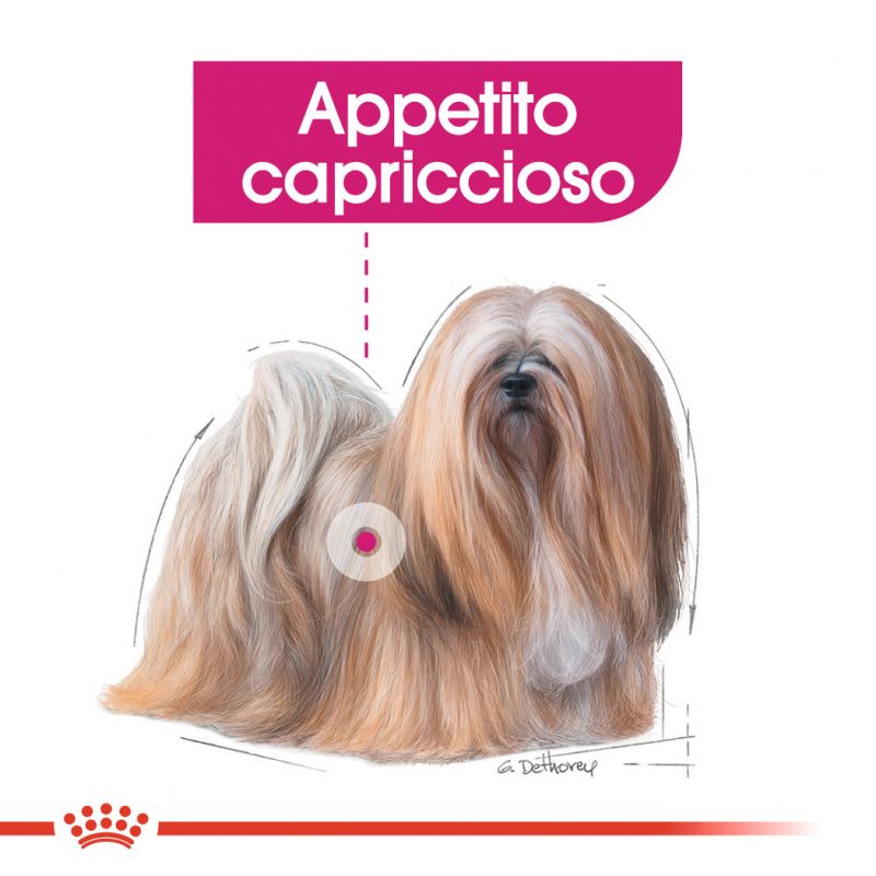 Mini Exigent - Crocchette per Cani