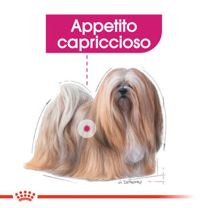 Mini Exigent - Crocchette per Cani