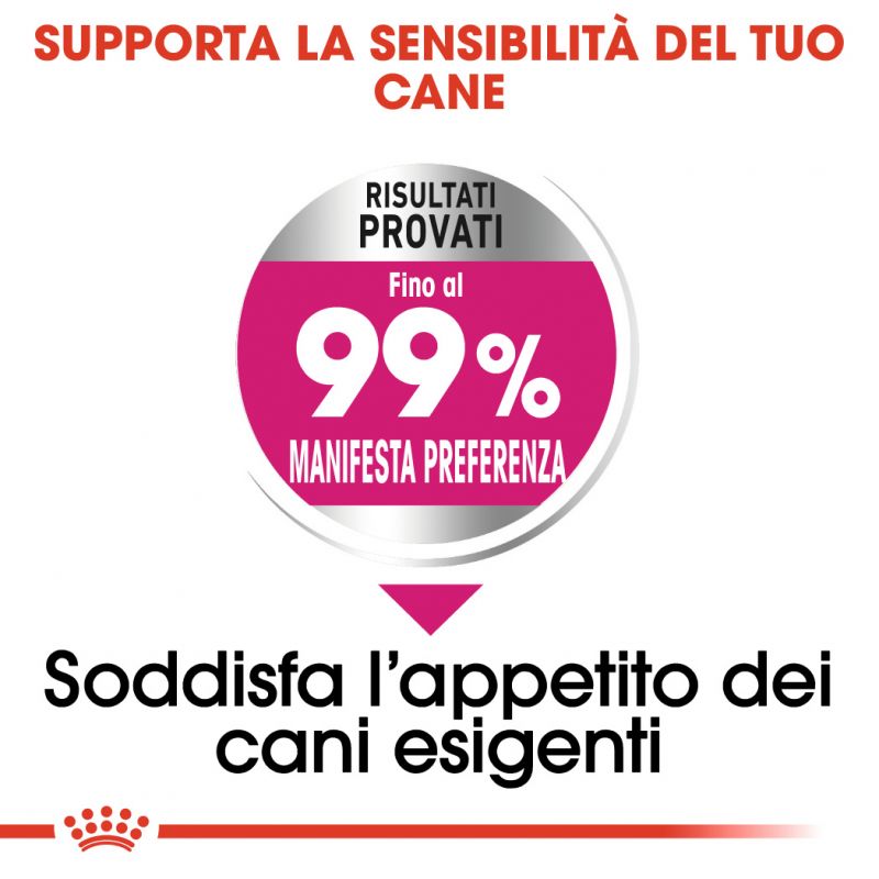Mini Exigent - Crocchette per Cani