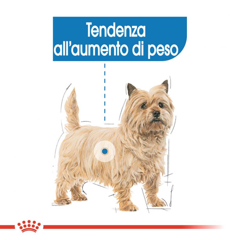 Mini Light Weight Care - Crocchette per Cani