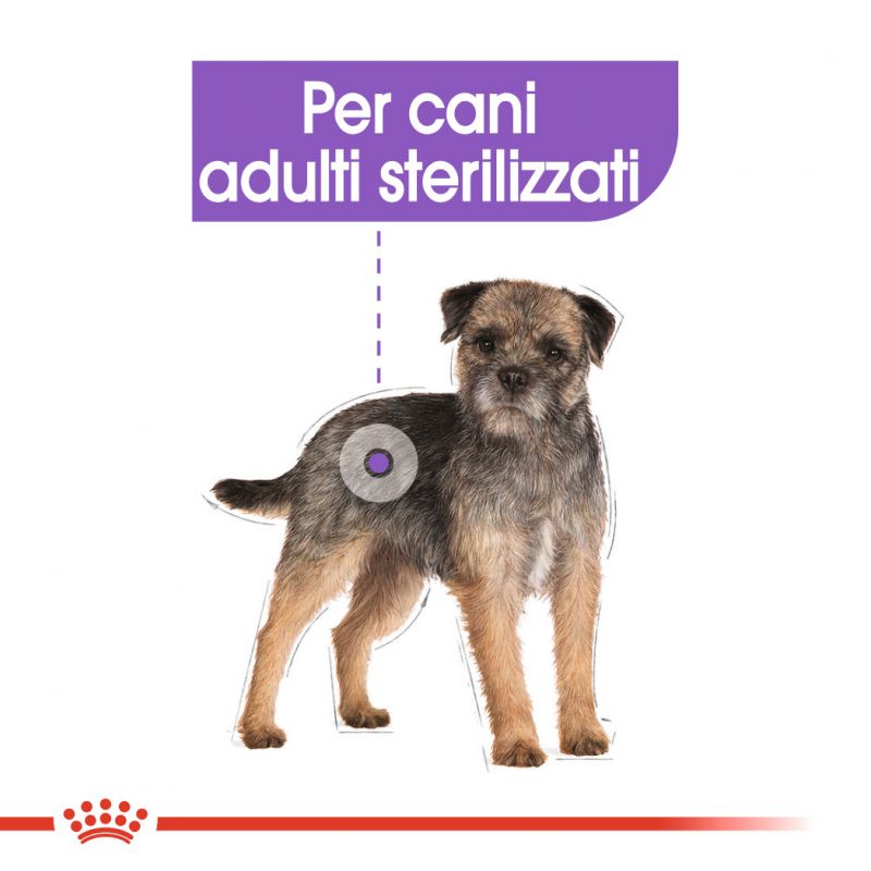 Mini Sterilised - Crocchette per Cane