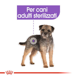 Mini Sterilised - Crocchette per Cane