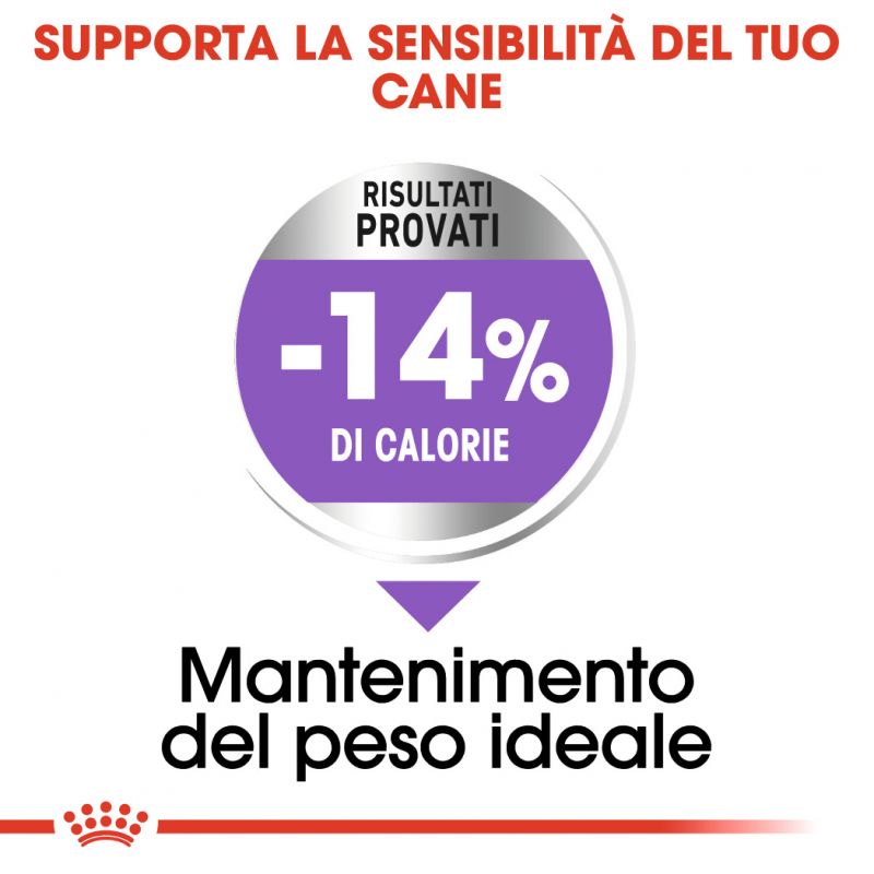 Sterilised  Umido per Cane (In Bustina)