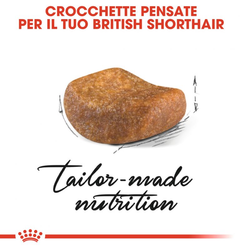 British Shorthair Adult - Crocchette per Gatti