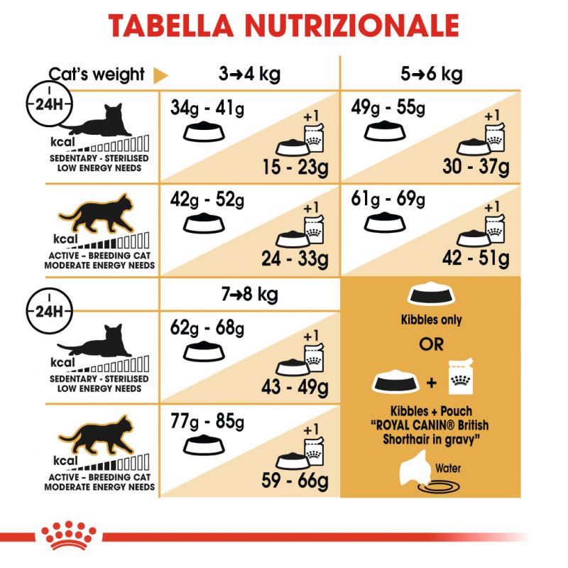 British Shorthair Adult - Crocchette per Gatti