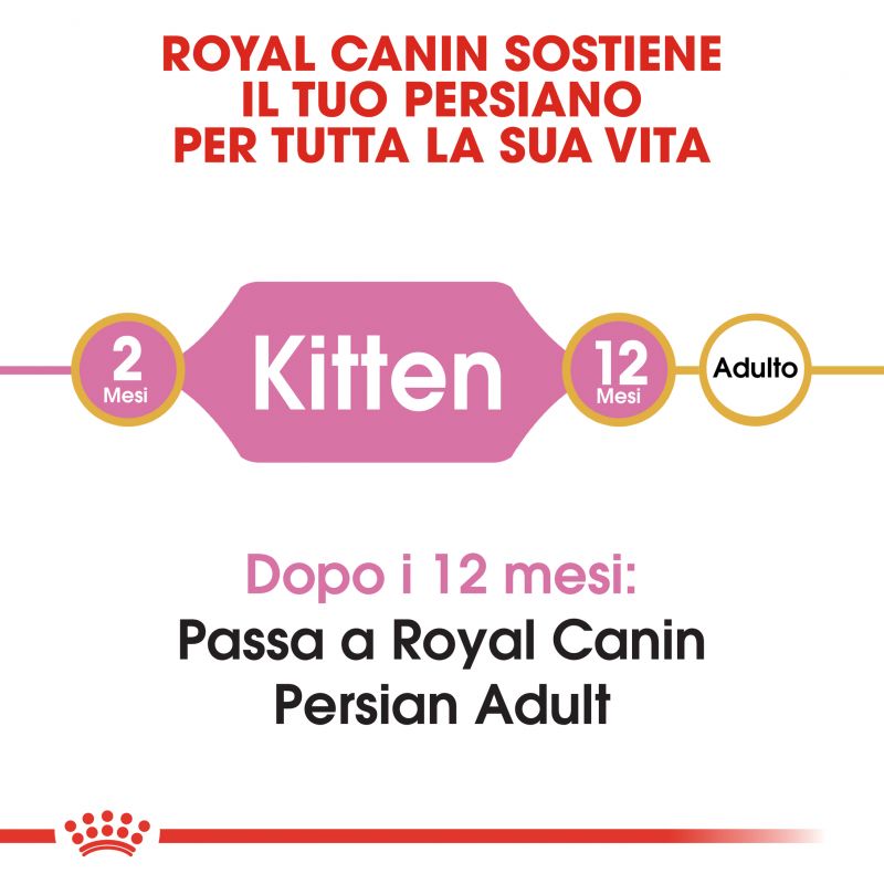 Kitten Persian - Crocchette per Gatti