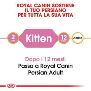 Kitten Persian - Crocchette per Gatti