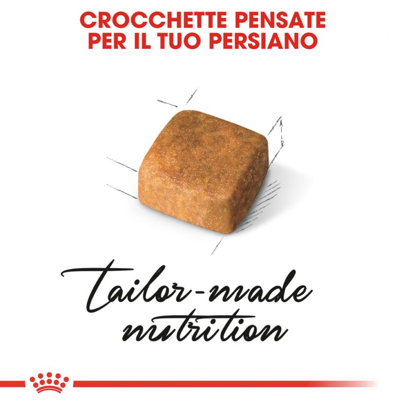 Kitten Persian - Crocchette per Gatti