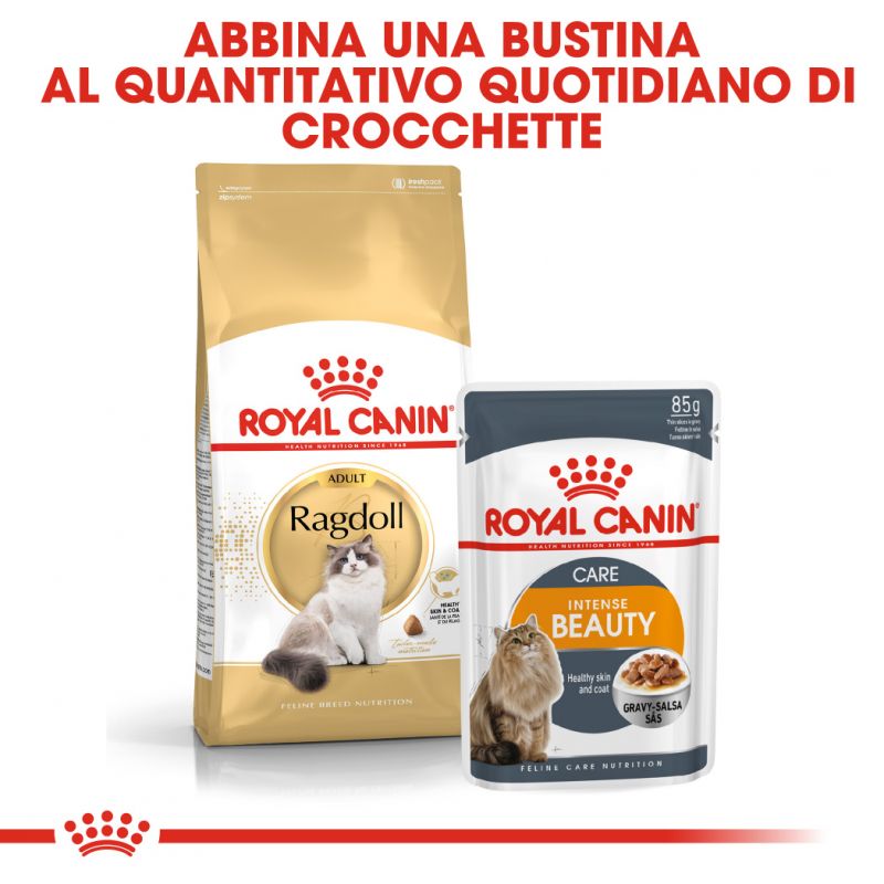 Ragdoll Adult - Crocchette per Gatti