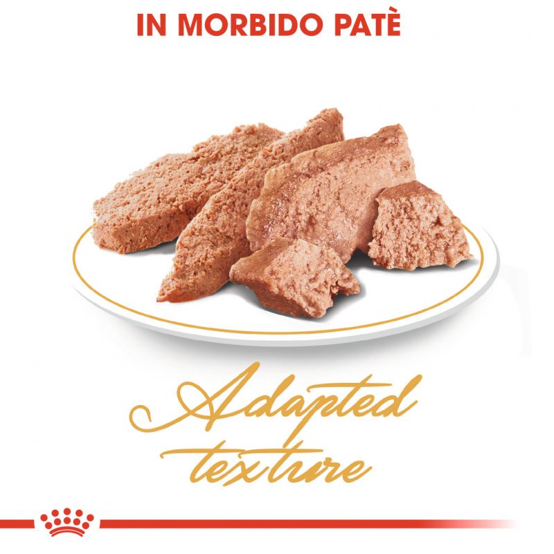 Persian Adult -  Multipack Umido per Gatti