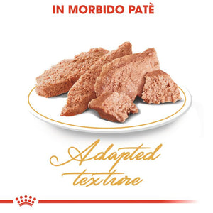 Persian Adult -  Multipack Umido per Gatti