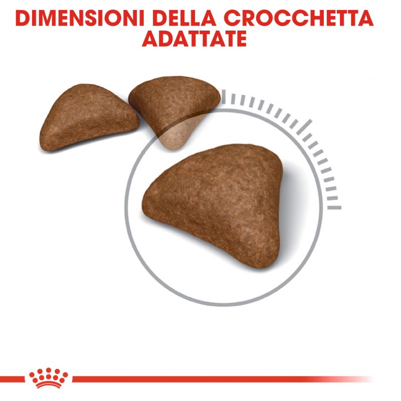 Care Hairball - Crocchette per Gatti