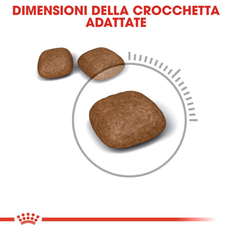 Care Urinary - Crocchette per Gatti