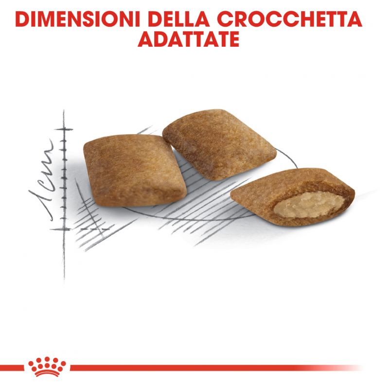 Senior Ageing 12+ -  Crocchette per Gatti