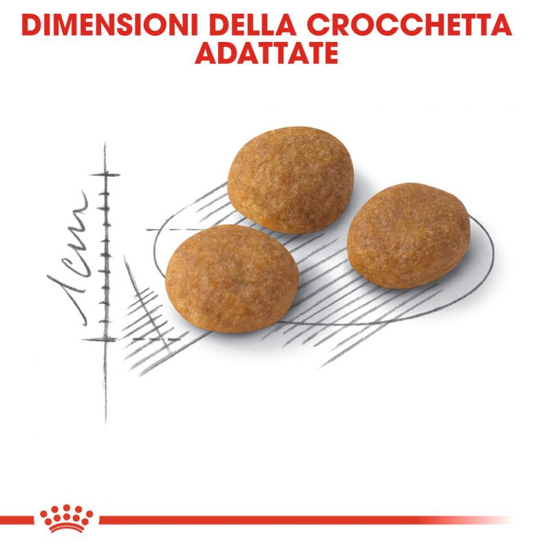 Feline preference aroma exigent - Crocchette per Gatti