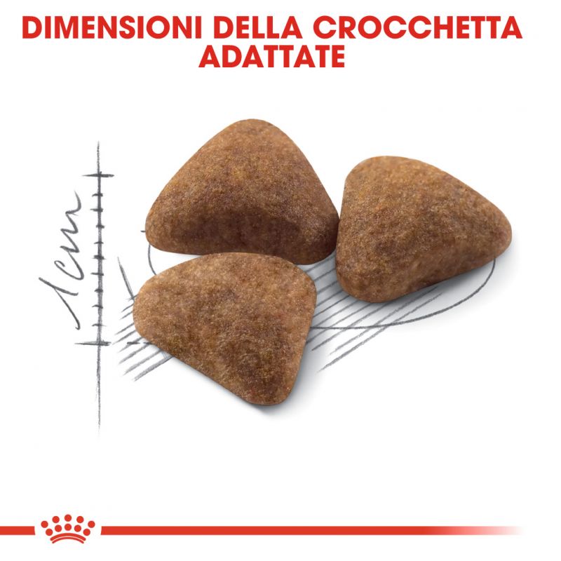 Homelife Indoor - Crocchette per Gatti
