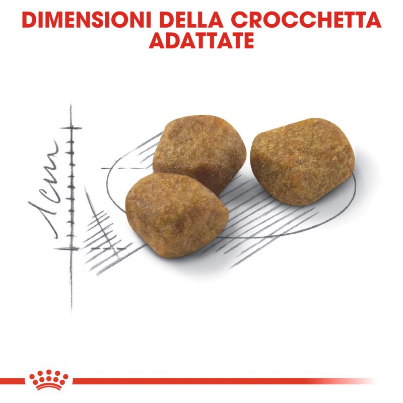 Homelife Indoor 7+  Crocchette per Gatti