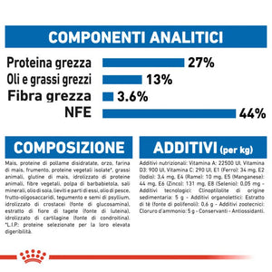 Homelife Indoor 7+  Crocchette per Gatti