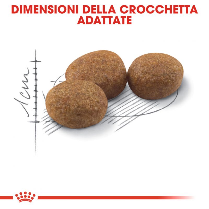 Regular Sterilised - Crocchette per Gatti