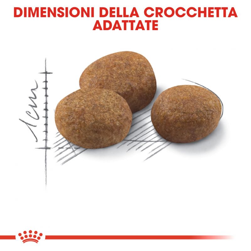 Regular Sterilised 7+ - Crocchette per Gatti