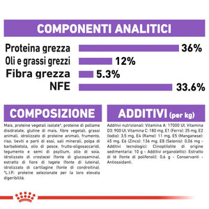 Regular Sterilised 7+ - Crocchette per Gatti