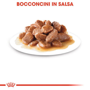 Ageing 12+ Gravy (in salsa) - Multipack Umido per Gatti