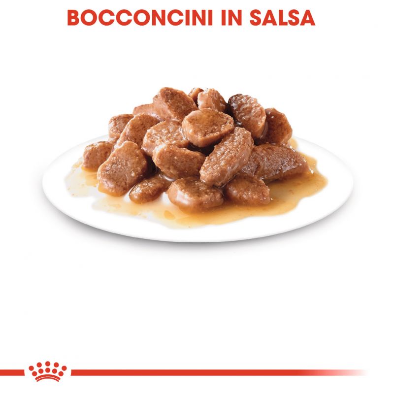 Sterilised Gravy -  Multipack Umido per Gatti