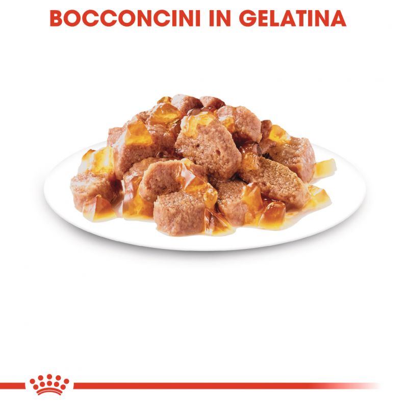 Sterilised Jelly -  Umido per Gatti