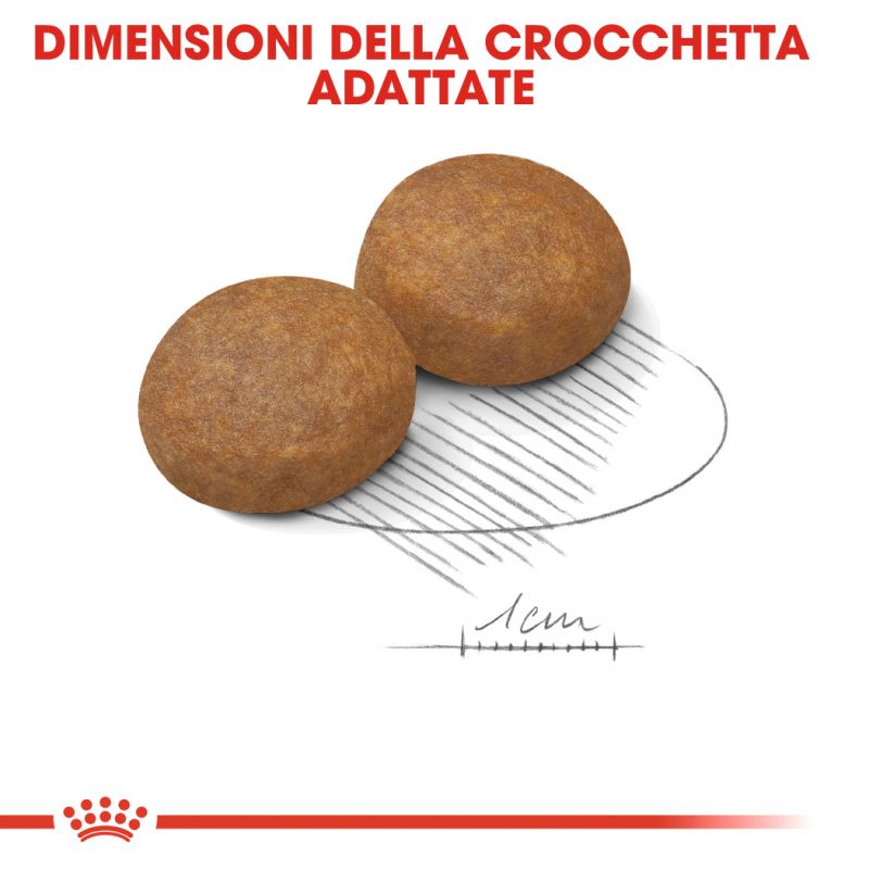 Medium Adult - Crocchette per Cani