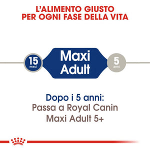 Maxi Adult - Crocchette per Cani