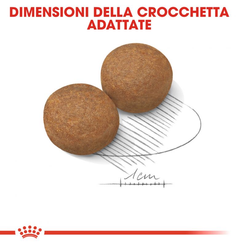 Maxi Adult - Crocchette per Cani