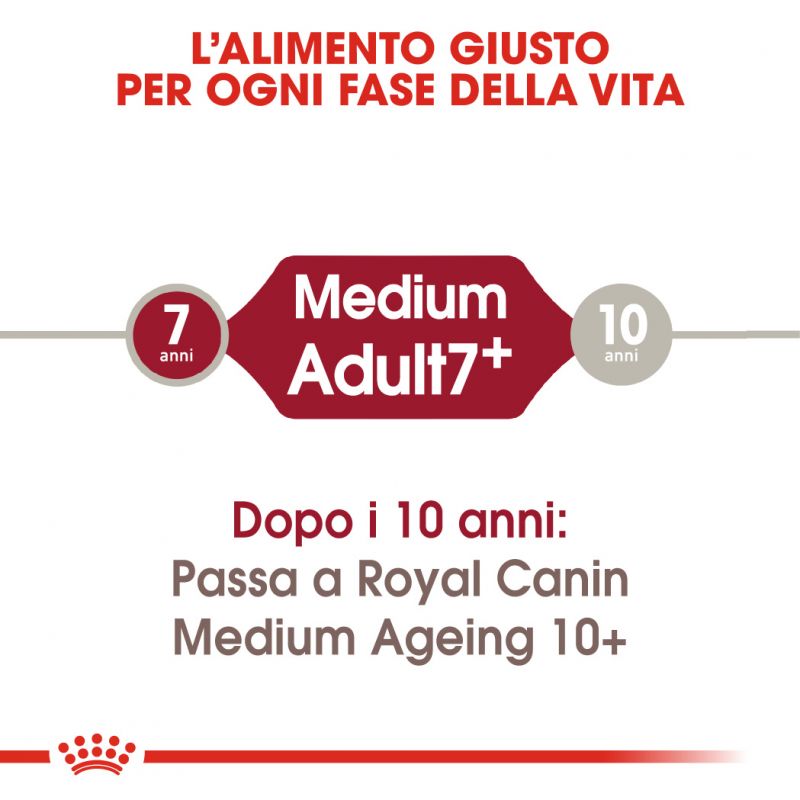 Medium Adult 7+ - Crocchette per Cani