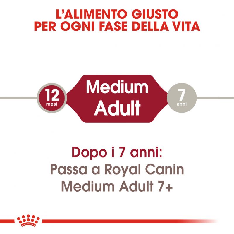 Medium Adult - Crocchette per Cani