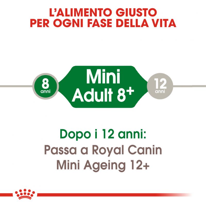 Mini Adult 8+ - Crocchette per Cani