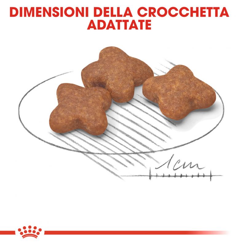 Mini Adult 8+ - Crocchette per Cani