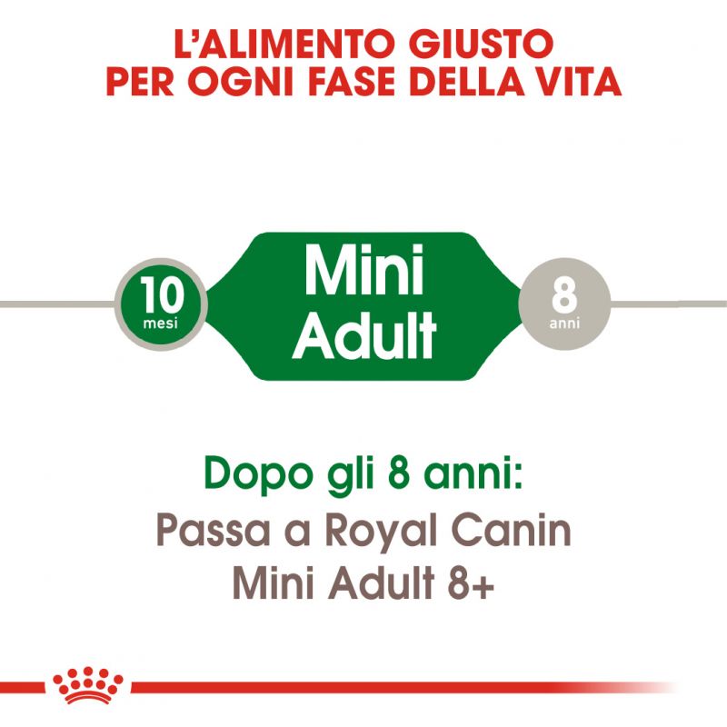 Mini Adult - Crocchette per Cani