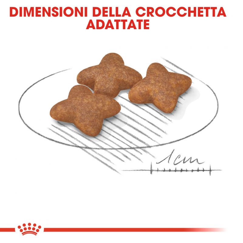 Mini Adult - Crocchette per Cani