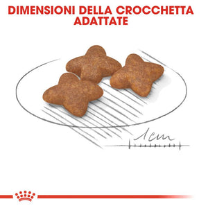 Mini Adult - Crocchette per Cani