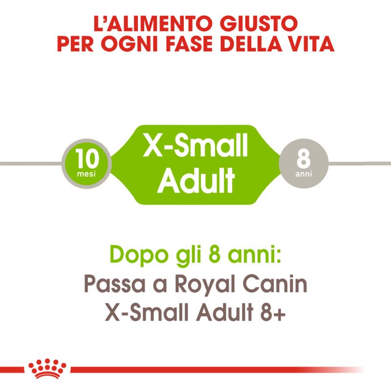 X-Small Adult - Crocchette per Cani