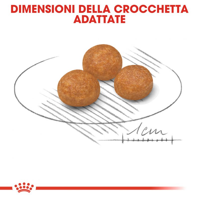 X-Small Adult - Crocchette per Cani