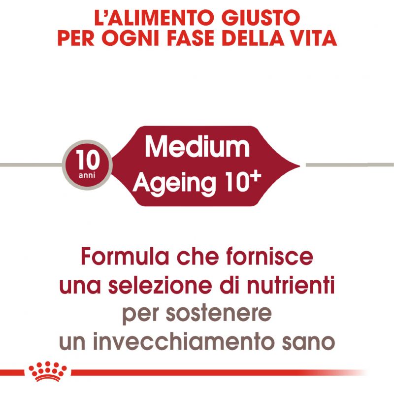 Medium Ageing 10+ Crocchette per cani