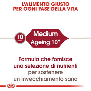 Medium Ageing 10+ Crocchette per cani