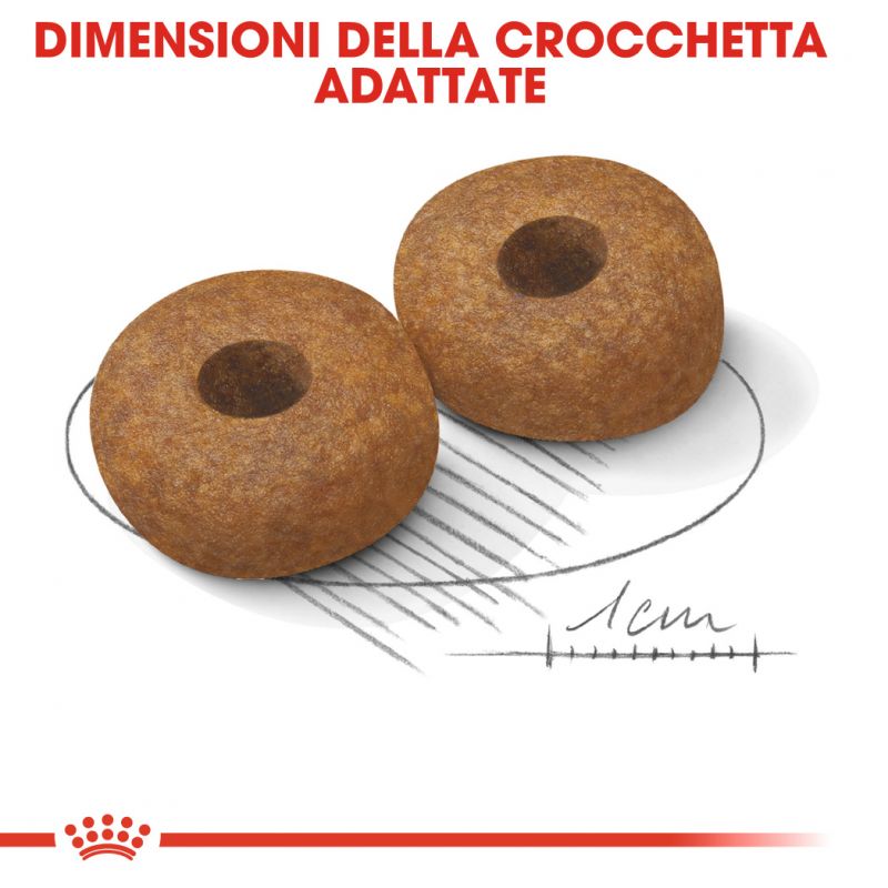 Medium Ageing 10+ Crocchette per cani