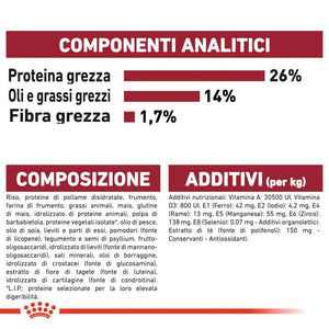 Medium Ageing 10+ Crocchette per cani
