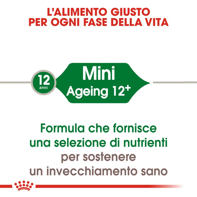 Mini Ageing 12+ - Crocchette per Cani