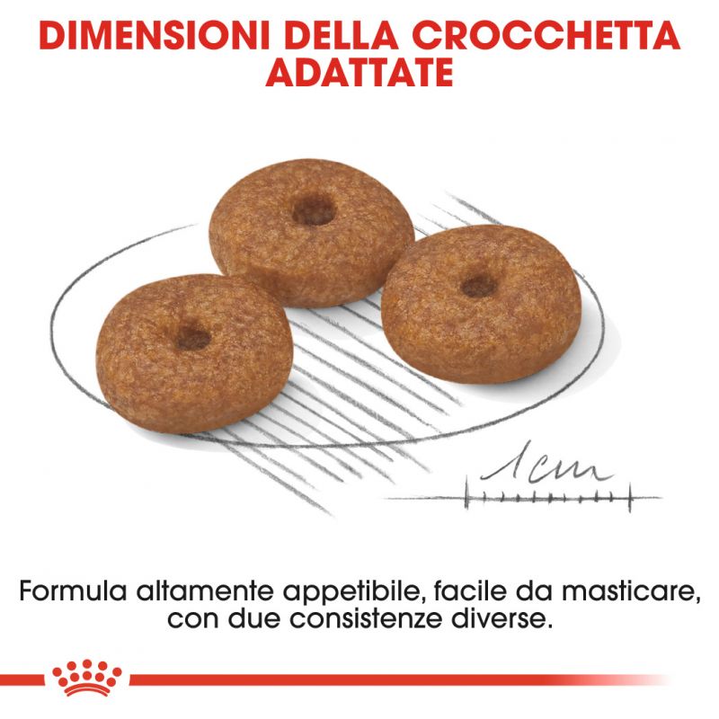 Mini Ageing 12+ - Crocchette per Cani