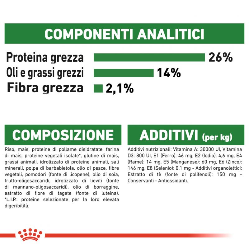 Mini Ageing 12+ - Crocchette per Cani