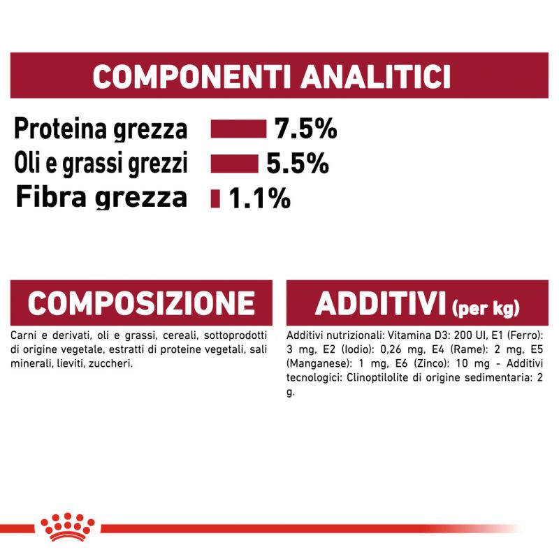 Medium Adult Multipack - Umido per Cani